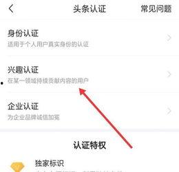 头条怎么取消认证的职业,如何轻松取消头条认证职业，解锁更多精彩内容