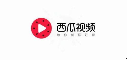 头条中的西瓜视频哪去了,探寻背后的原因与影响