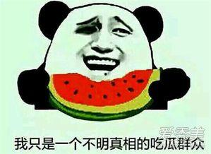 城中吃瓜群众是什么,揭秘都市生活百态