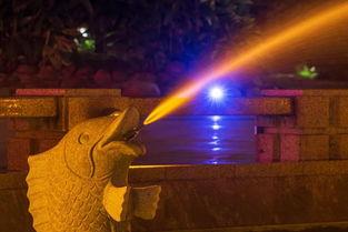 网红下雪夜景视频,网红镜头下的浪漫雪夜风光